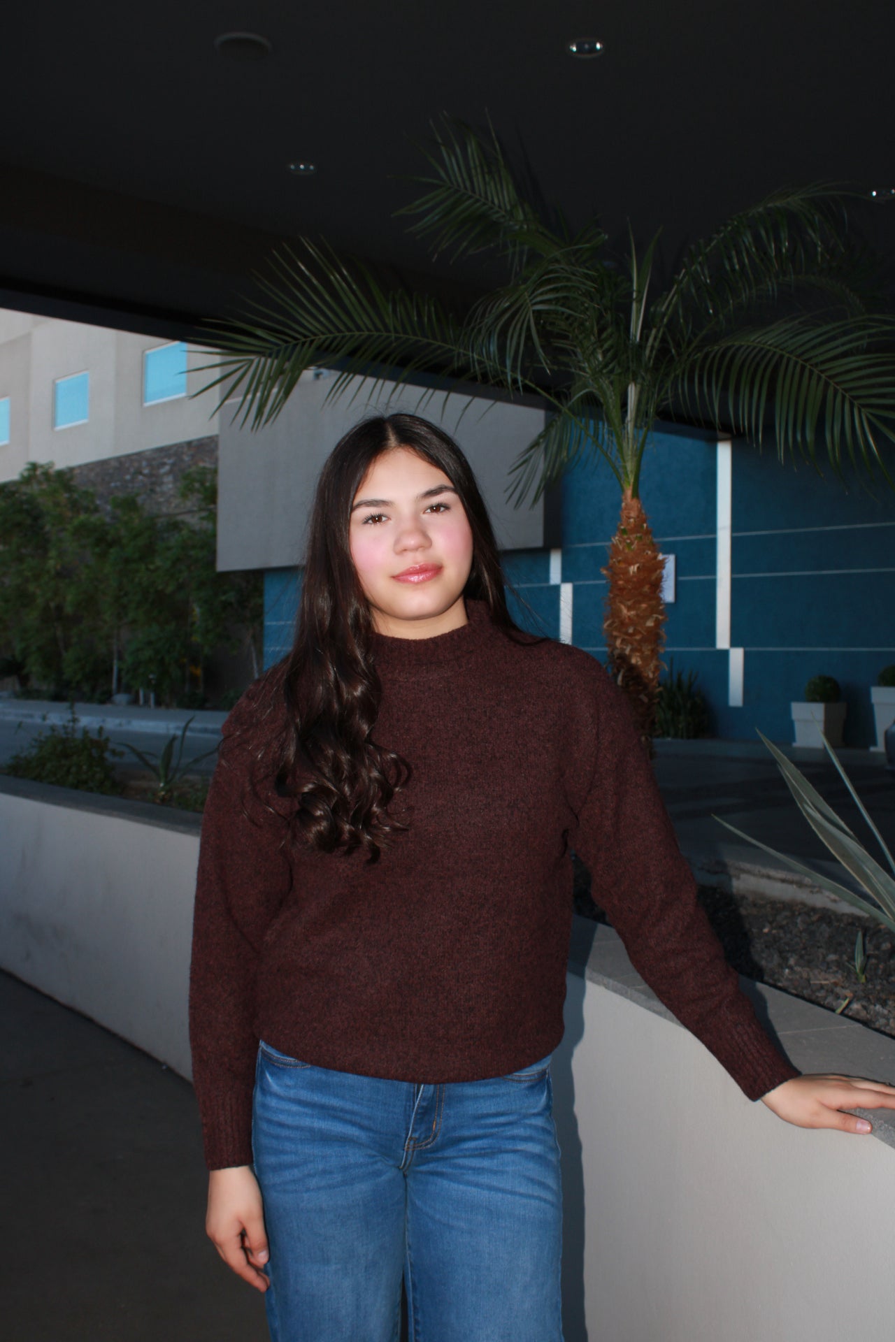 Suéter, color uva, tejido #11699￼