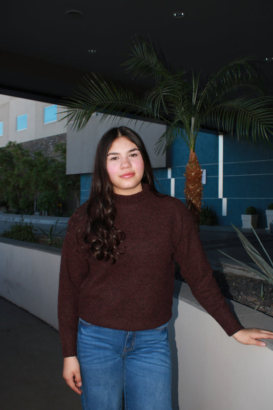 Suéter, color uva, tejido #11699￼