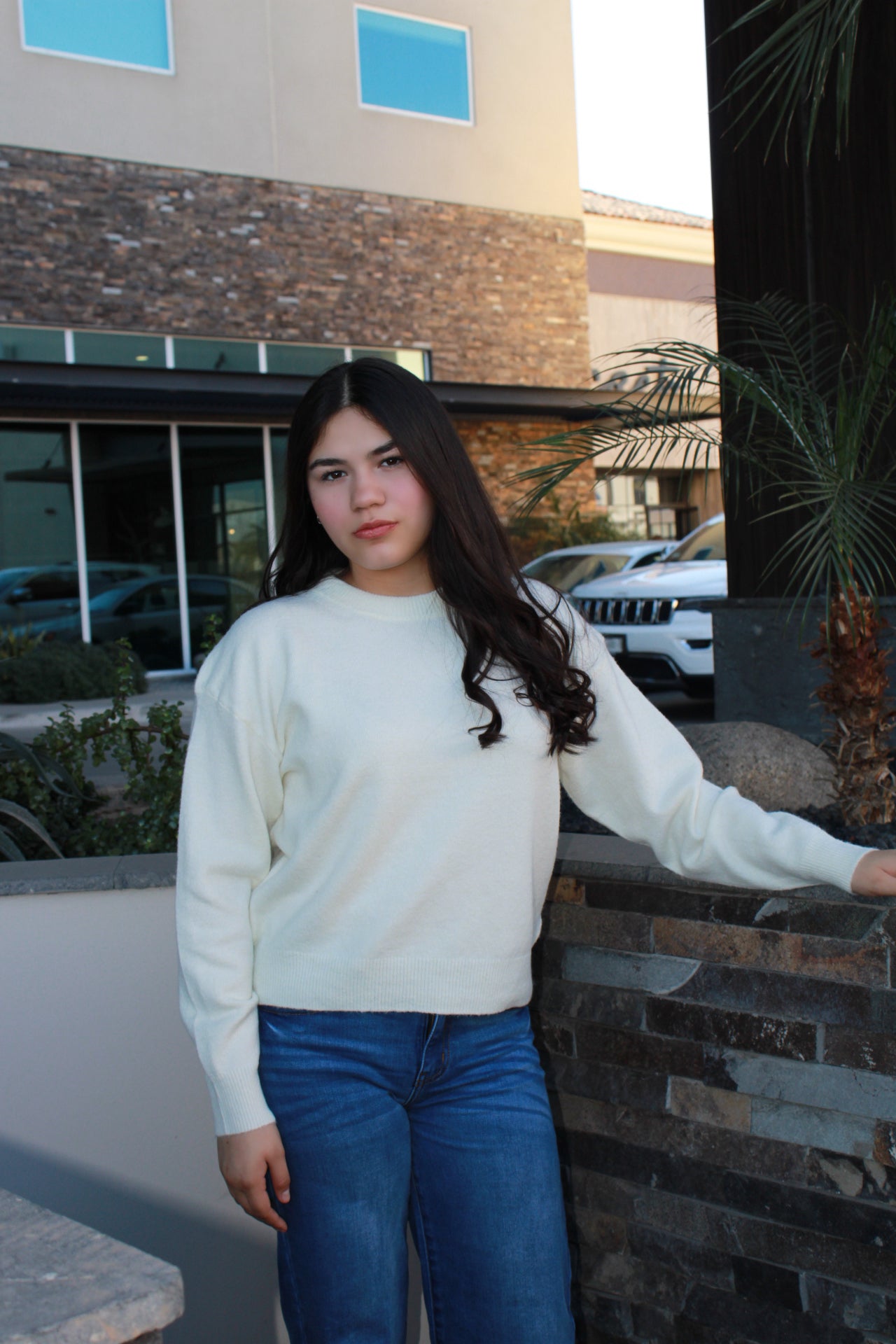 Suéter, cuello redondo, blanco/ crema#11707