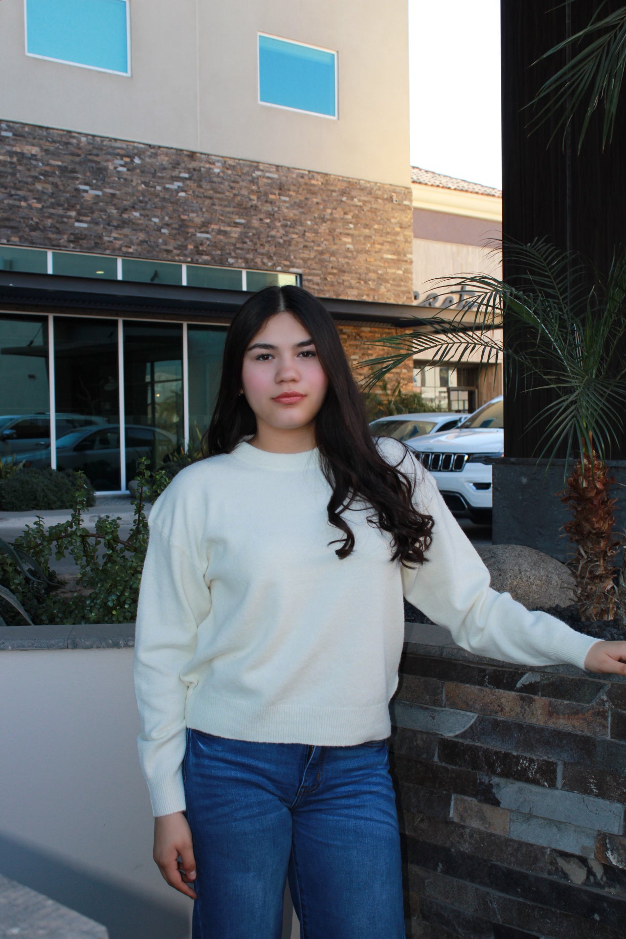 Suéter, cuello redondo, blanco/ crema#11707