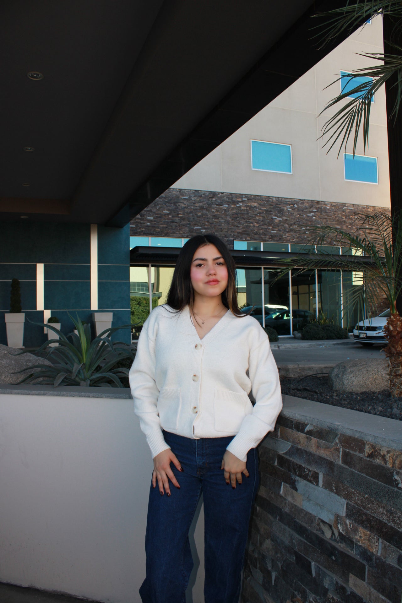 Suéter cardigan de botones blanco cuello V #11697